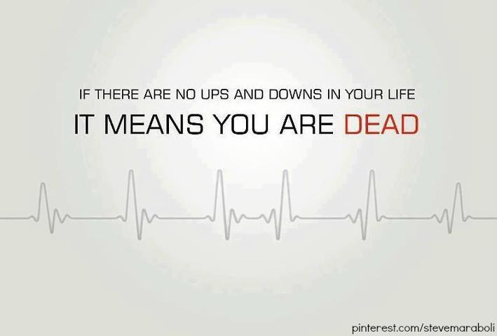 If there is no ups and downs in life