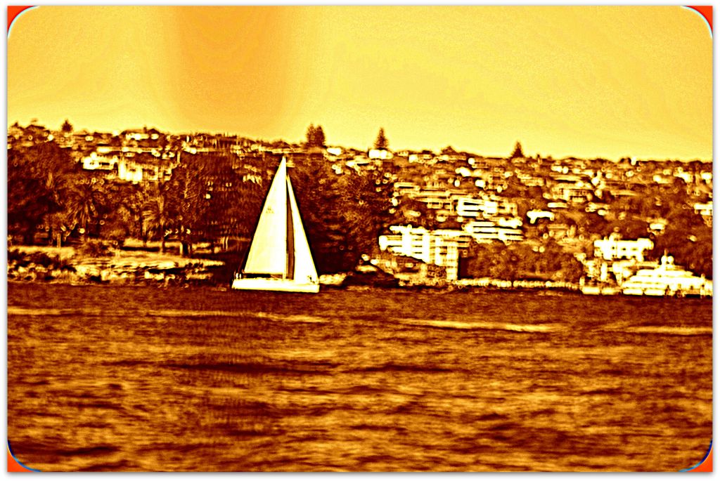 Sailing Sydney_102