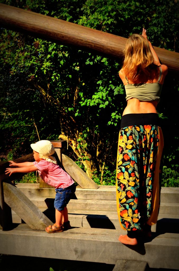 Switzerland 0813_229