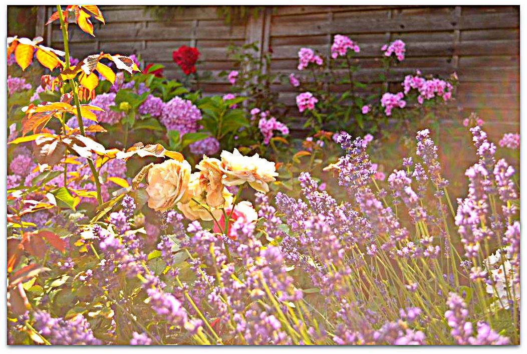 Week 3 Blog Post_170-001