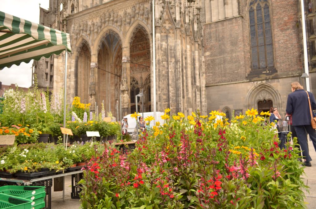 Week 3 Blog Post_178