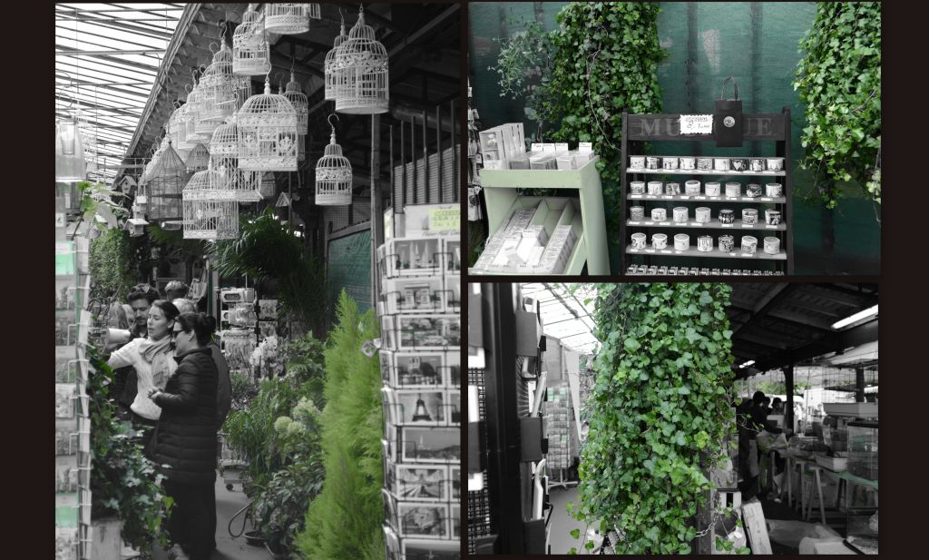 Paris BF Markets_397