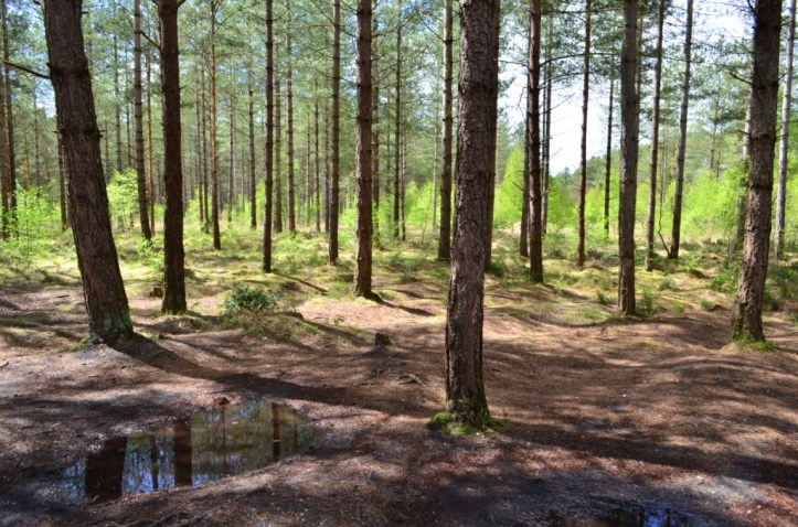 April 14 in Hampshire 052