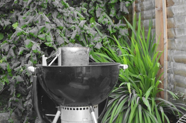 BBQ@Jake&Natalia_169