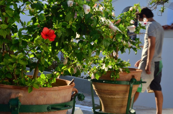 Monastery Ermion_369