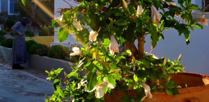 Monastery Ermion_370