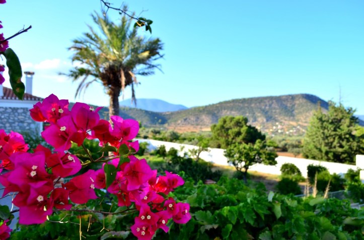 Monastery Ermion_379