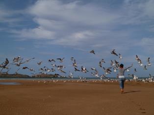 320953_10152400814565321_1918325699_n