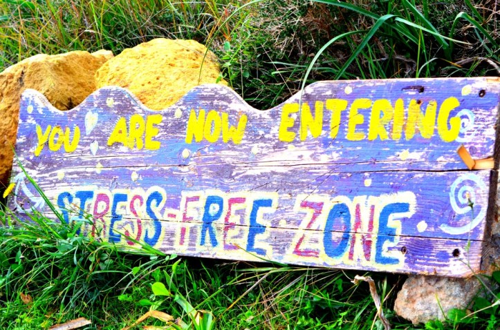 CreativityVortex_317