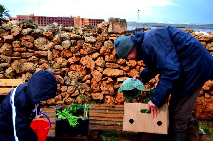 Ramla Bayn Louis_365