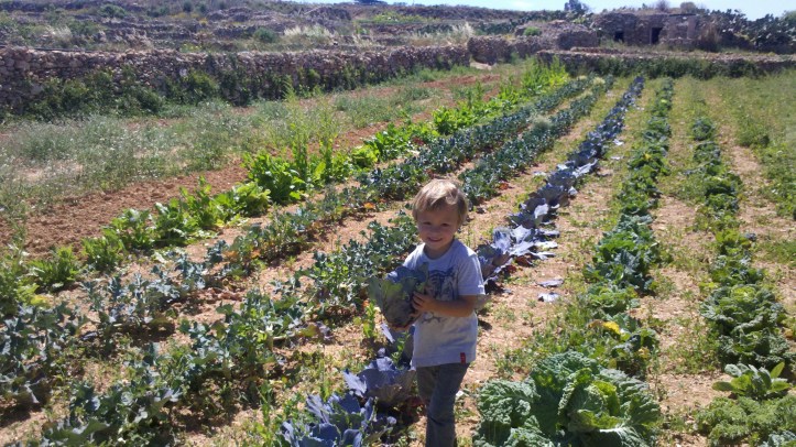 2015-04-28_14-22-40_776