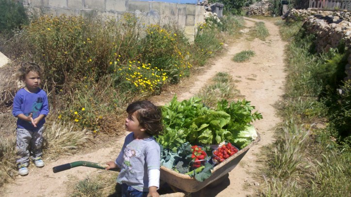 2015-04-28_14-29-26_629