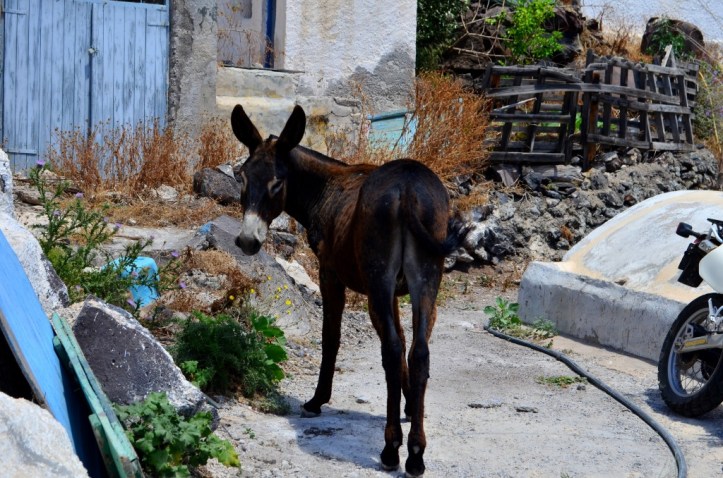 SantorinAstipala_7